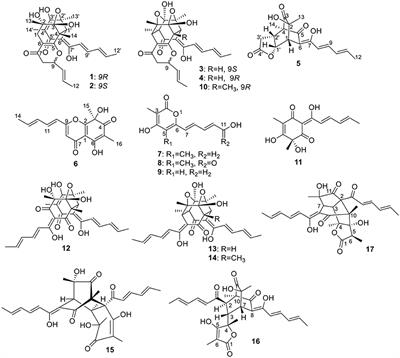 Sorbicillinoids From the Fungus Ustilaginoidea virens and Their Phytotoxic, Cytotoxic, and Antimicrobial Activities